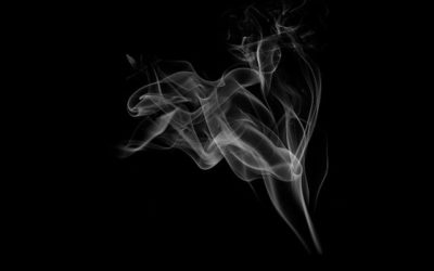 Quelle est la fonction de la vanne EGR ?